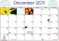 25 Dec Dates